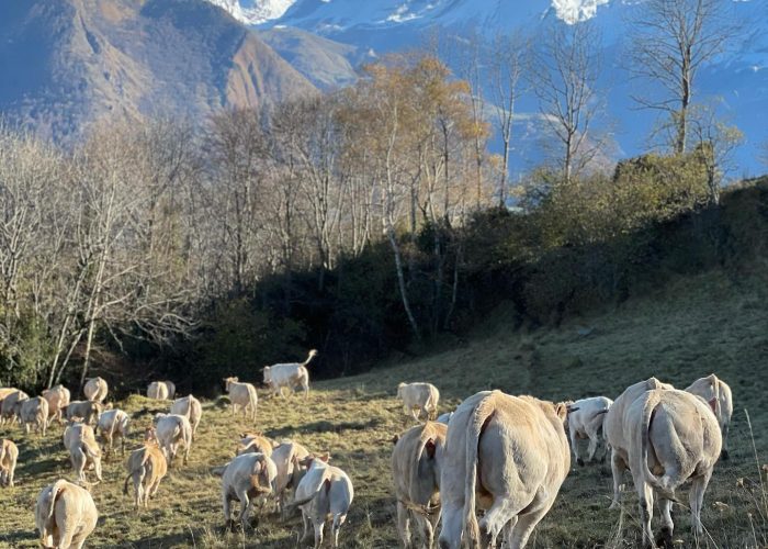 478408890_2448362412190075_4880290939596427309_n